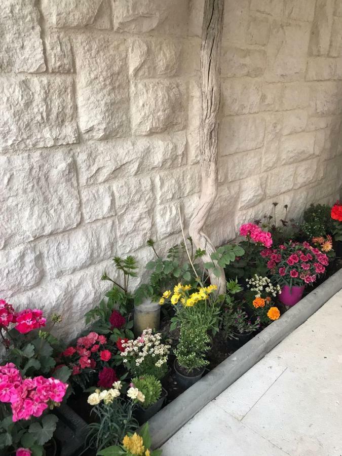 Apartman Crnica Šibenik Exterior foto